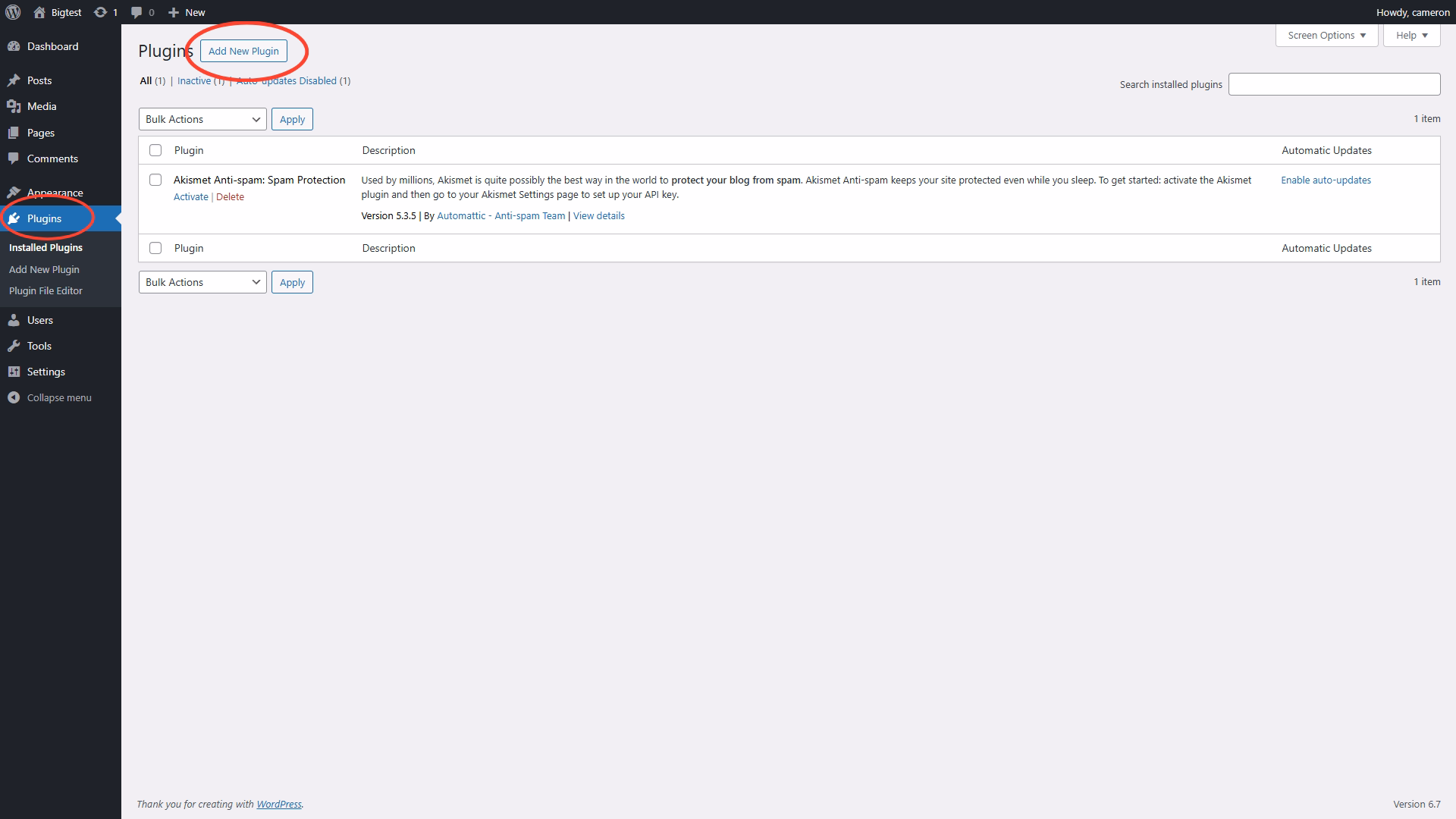 WordPress plugin page