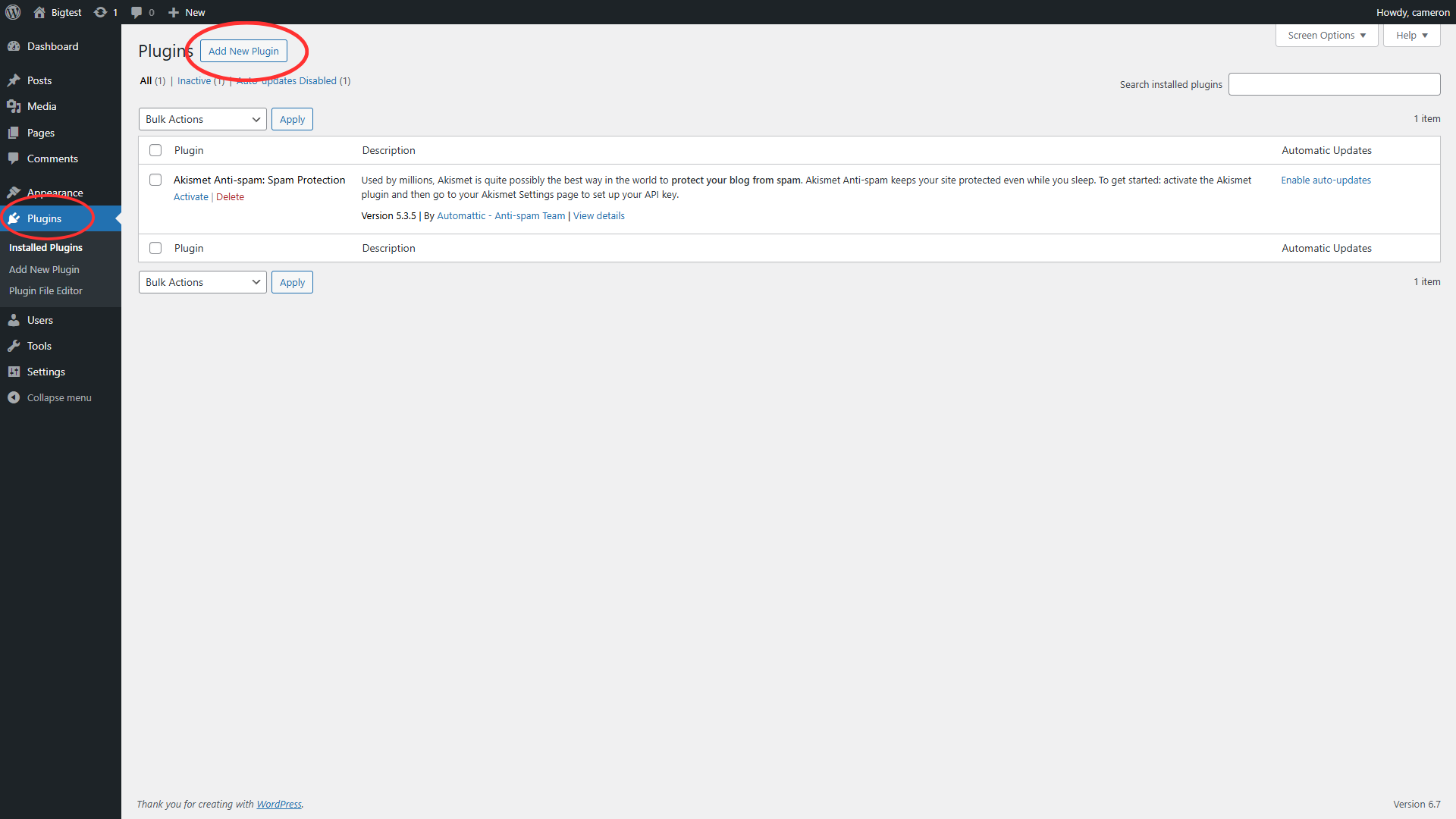 WordPress plugin page